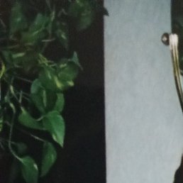 ����, ������, 51 ���