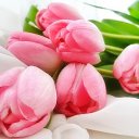 ���� ����, ������ - ��������� 15 ������� 2023 � ������ �������