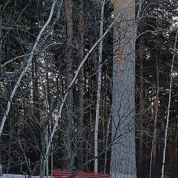 ������, ����, 61 ���