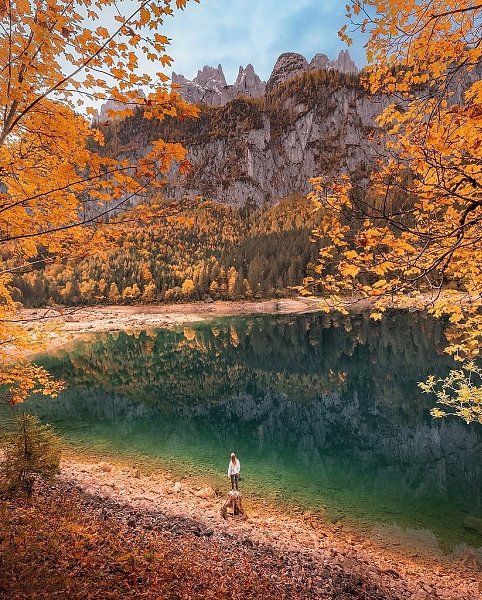   ,    ,    .   ... - 10