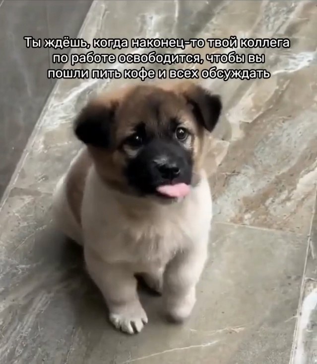 ?