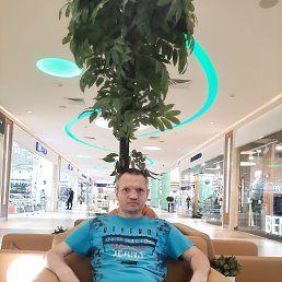 ������, 41 ���, ������������