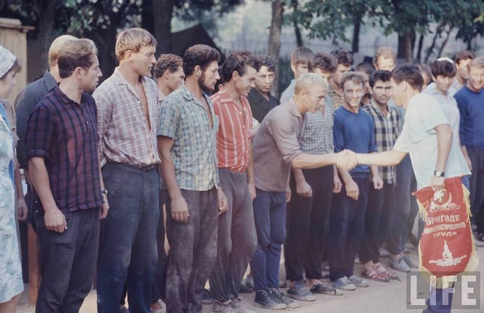   60-   .  1967     ... - 6