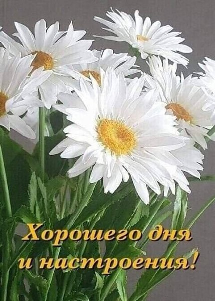   - 25  2024  12:35