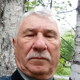 �������, ������, 66 ���