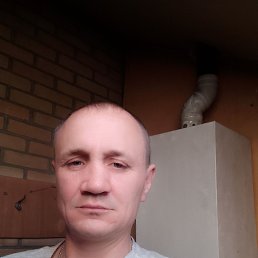 , 43, 