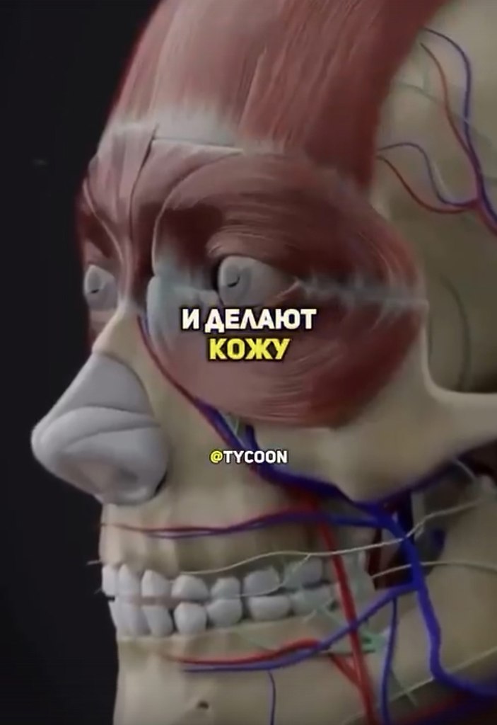 ,   . - 2
