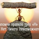 ���� �������, ���������, 55 ��� - ��������� 27 ��� 2024 � ������ ���� ����������