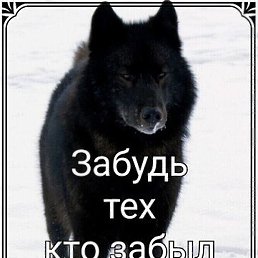 ��� �, �����������, 40 ���