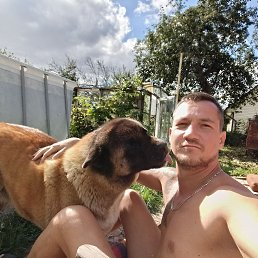 , 33, 