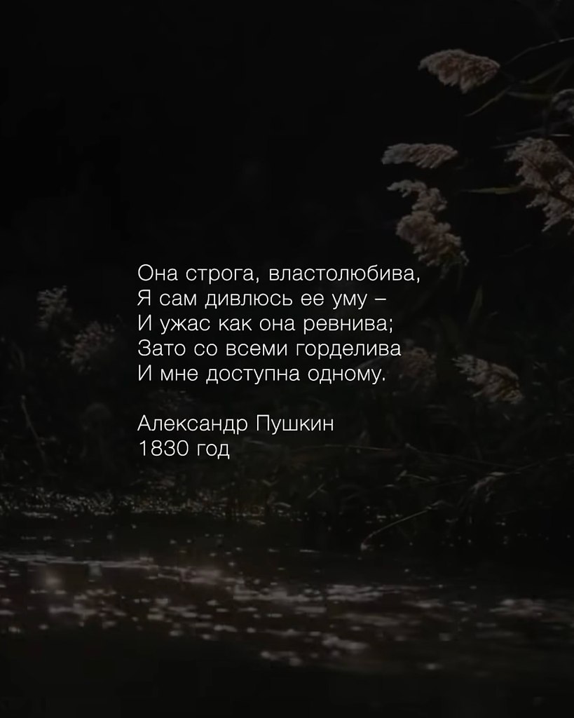   - 22  2025  03:50 - 3