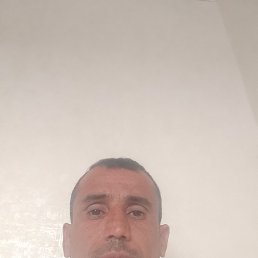 , 41, 
