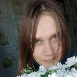 , 29, 