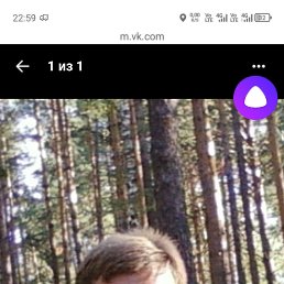 ����, 46 ���, �������