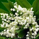   -  ...,  -  22  2025    