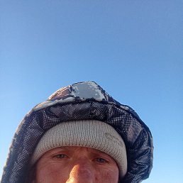 ��������, 41 ���, �����