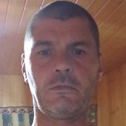 ������ ���������, �������, 45 ���