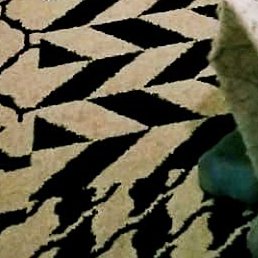 ����, ���������������, 25 ���