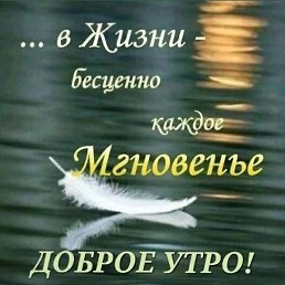 �������, �����, 49 ���