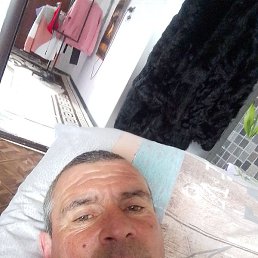 �������, ������, 46 ���