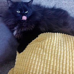 ����, �����-���������, 27 ���