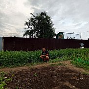 , 36 , 