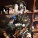 ���� ��������, ����� - ��������� 26 ������� 2024 � ������ ������ ��������