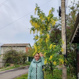 , 37, 