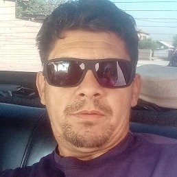 ������, �����-���������, 37 ���