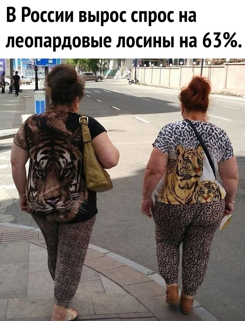׸     48 ,   ,   