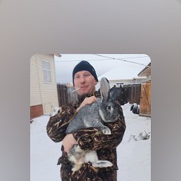 , 40, 