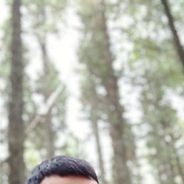 ���� �����, ������, 37 ��� - ��������� 22 ����� 2024