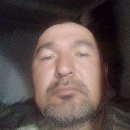 , , 46 