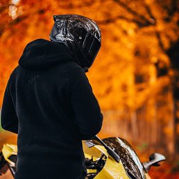 ���� Ringo, ������, 29 ��� - ��������� 19 ������� 2024