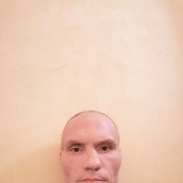 �������, 42 ����, ����