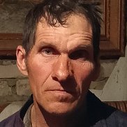  , 56 , 