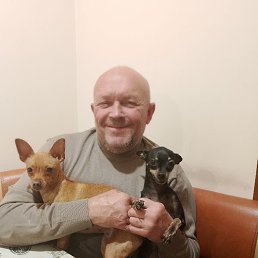 , 58, 