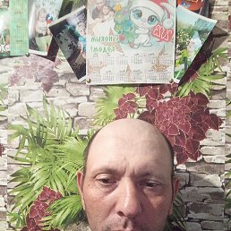 , 42 , 