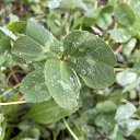 ���� �����, �����-��������� - ��������� 9 ��� 2025 � ������ ������25�