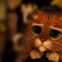 ���� ������, ����, 40 ��� - ��������� 12 ������� 2024 � ������ ���� ����������