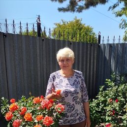 , 65, 