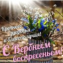 ���� �����, ������� - ��������� 5 ������ 2026 � ������ ������ ��������