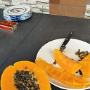 ���� ������, ������ - ��������� 13 ��� 2025 � ������ ���� ����������