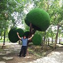 ���� ��������, ���������, 53 ���� - ��������� 15 ������� 2026