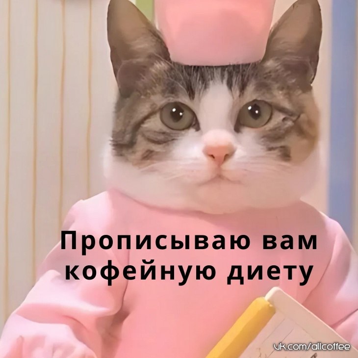    ,  !