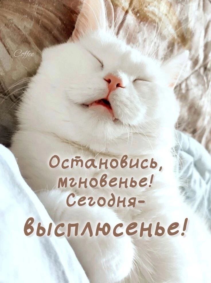 ������ - 14 ������� 2025 � 14:05