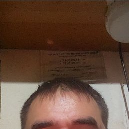 , 42, 