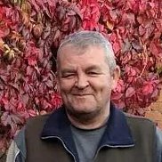 , 57 , 