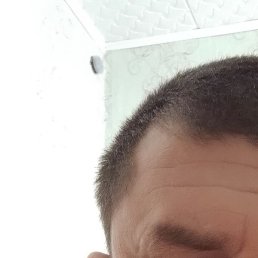 ������, ����, 43 ����