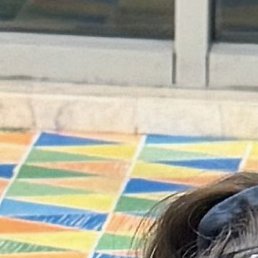 ������, �����, 50 ���